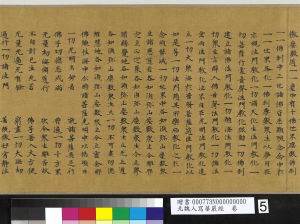 北魏人寫華嚴經　卷