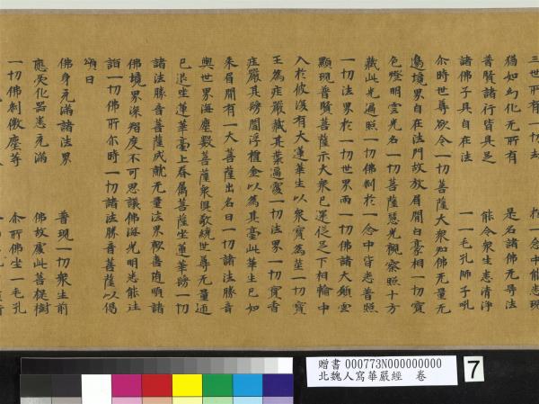 北魏人寫華嚴經　卷
