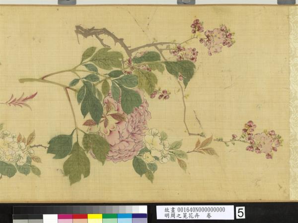 明周之冕花卉　卷