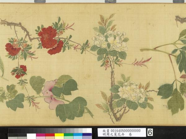 明周之冕花卉　卷