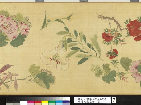 明周之冕花卉　卷