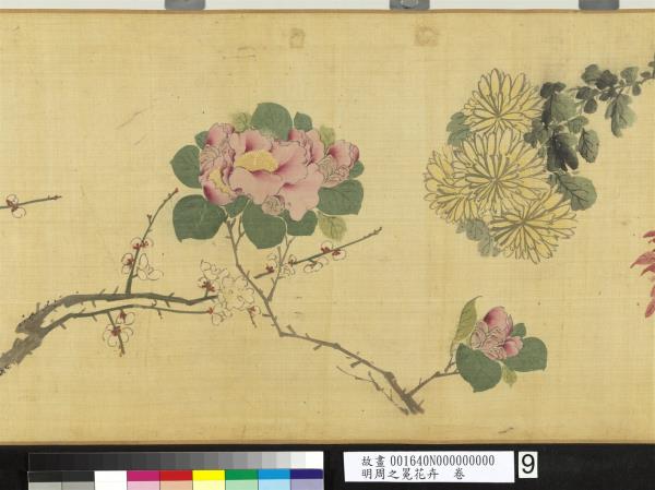 明周之冕花卉　卷