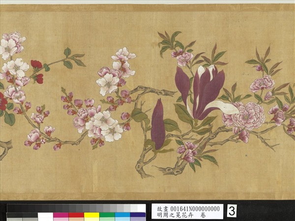 明周之冕花卉　卷