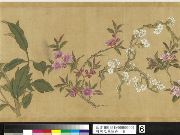 明周之冕花卉　卷