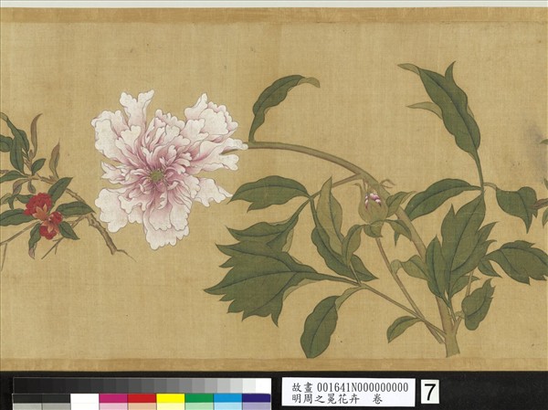 明周之冕花卉　卷