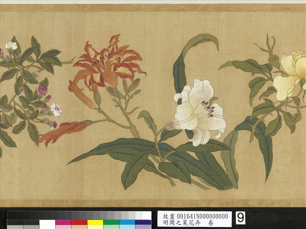 明周之冕花卉　卷