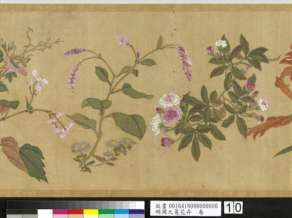 明周之冕花卉　卷