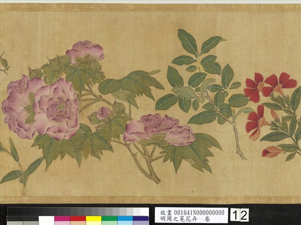 明周之冕花卉　卷