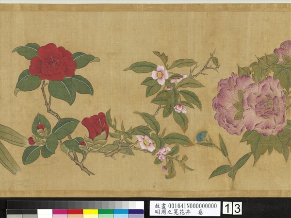 明周之冕花卉　卷