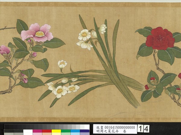 明周之冕花卉　卷