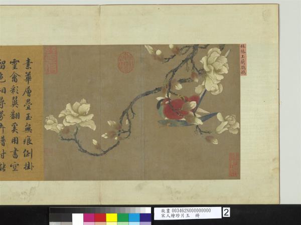 宋人繪珍片玉　冊　宋林椿玉蘭鸚鵡