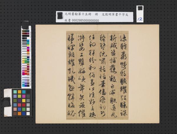 元明書翰第十五冊　冊　明文徵明草書千字文