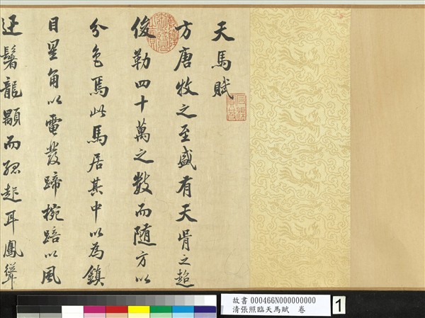 清張照臨天馬賦　卷