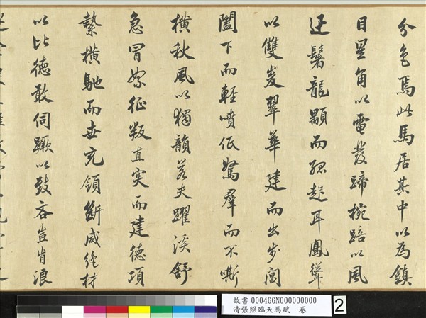 清張照臨天馬賦　卷