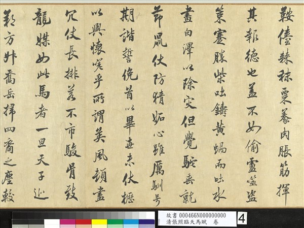 清張照臨天馬賦　卷