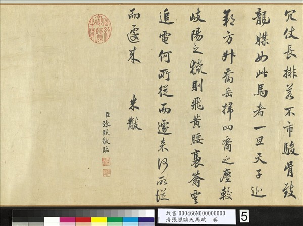 清張照臨天馬賦　卷