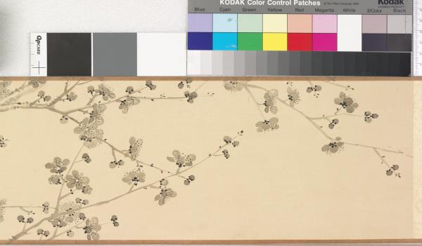 關槐畫墨池香雪 卷