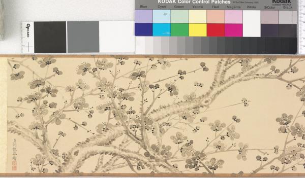 關槐畫墨池香雪 卷