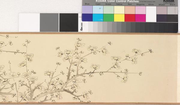 關槐畫晴空冷翠 卷