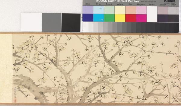 關槐畫晴空冷翠 卷