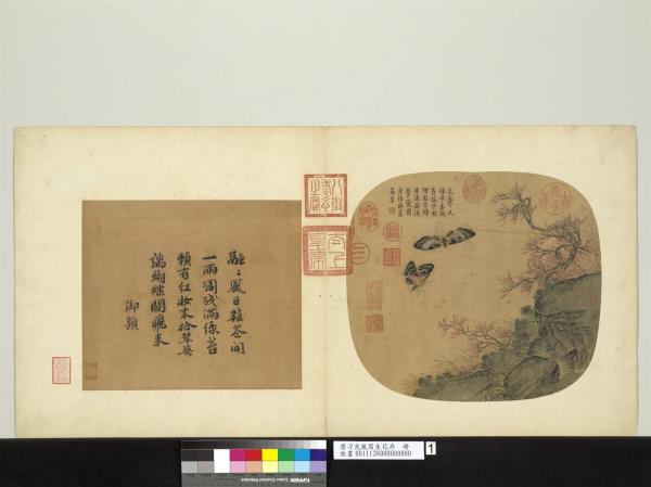 唐刁光胤寫生花卉　冊　桃花雙蝶磐石帶草