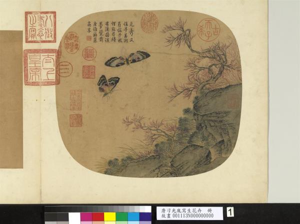 唐刁光胤寫生花卉　冊　桃花雙蝶磐石帶草