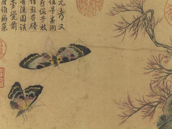 唐刁光胤寫生花卉　冊　桃花雙蝶磐石帶草