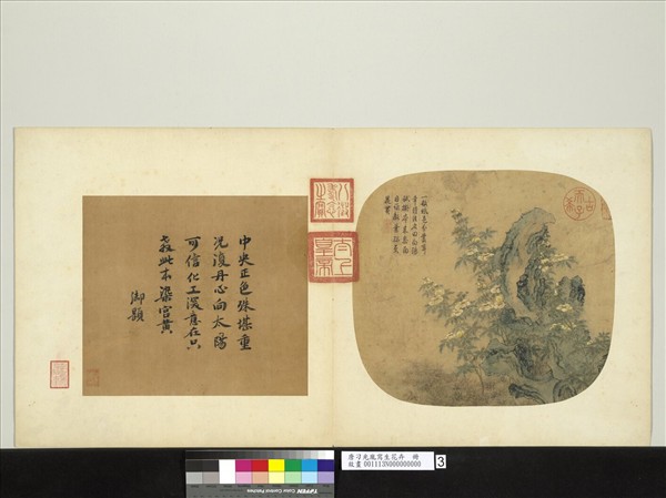 唐刁光胤寫生花卉　冊　立石葵花下襯雜卉