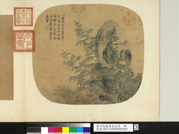 唐刁光胤寫生花卉　冊　立石葵花下襯雜卉