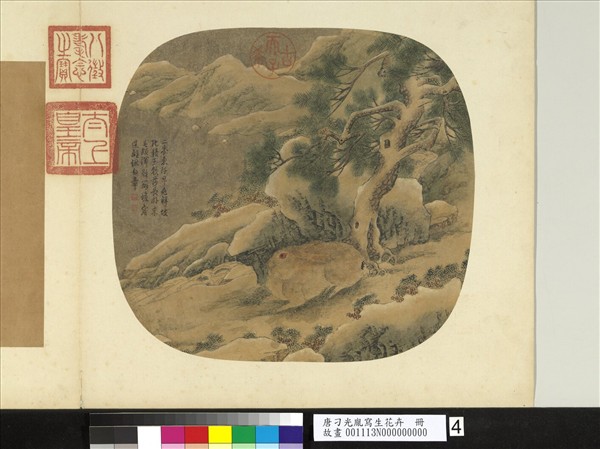 唐刁光胤寫生花卉　冊　喬松臥兔石罅流泉