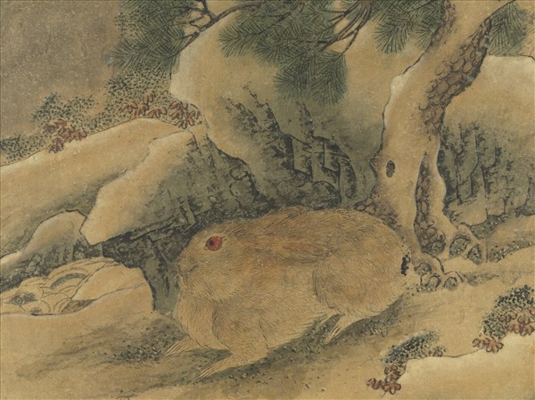 唐刁光胤寫生花卉　冊　喬松臥兔石罅流泉