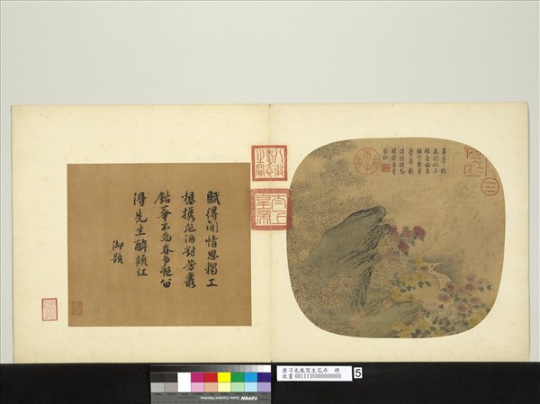 唐刁光胤寫生花卉　冊　攢篠孤石高下菊叢