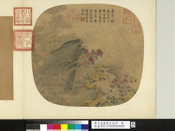 唐刁光胤寫生花卉　冊　攢篠孤石高下菊叢
