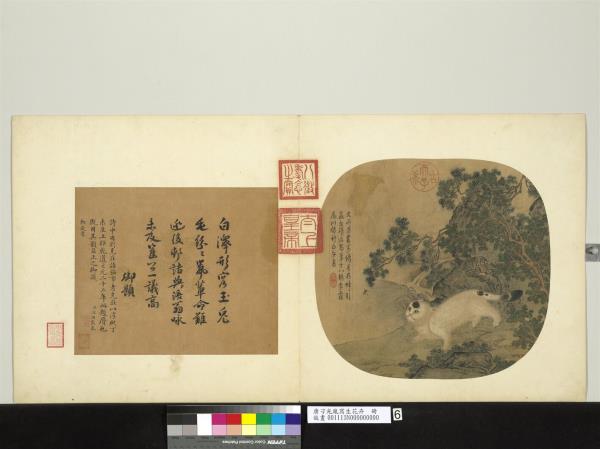 唐刁光胤寫生花卉　冊　灌木游蜂山貓出谷