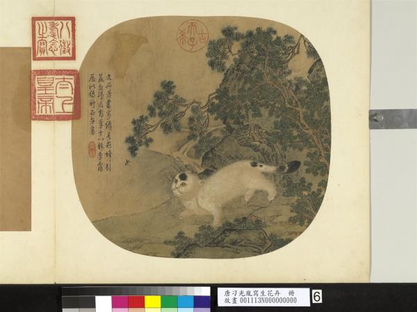 唐刁光胤寫生花卉　冊　灌木游蜂山貓出谷