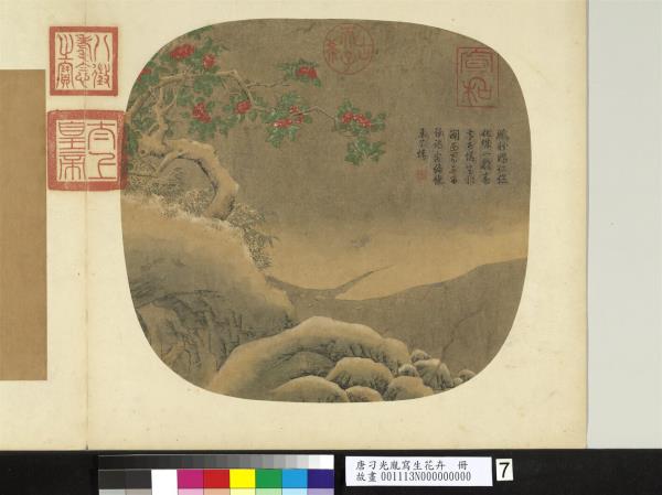 唐刁光胤寫生花卉　冊　綠蕪春嶼老幹紅英