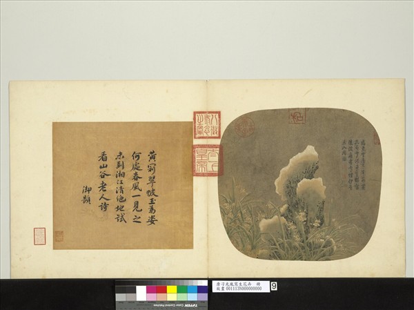 唐刁光胤寫生花卉　冊　水仙倚石上有積雪