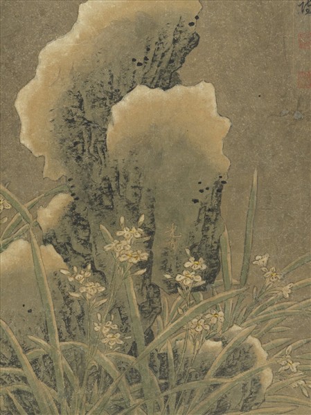 唐刁光胤寫生花卉　冊　水仙倚石上有積雪