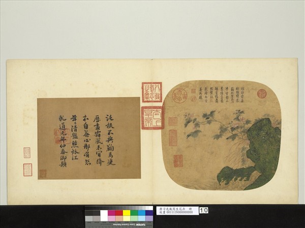 唐刁光胤寫生花卉　冊　石岸淙流芙蓉蘸水