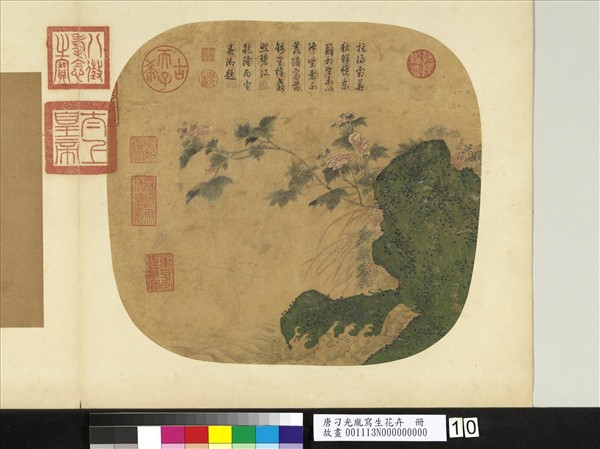 唐刁光胤寫生花卉　冊　石岸淙流芙蓉蘸水