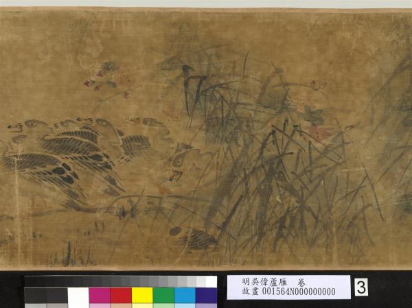 明吳偉蘆雁　卷