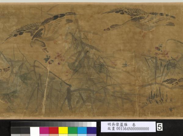 明吳偉蘆雁　卷