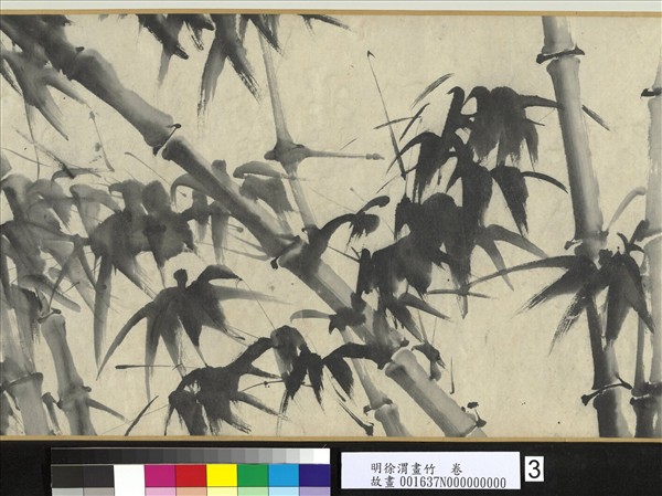 明徐渭畫竹　卷