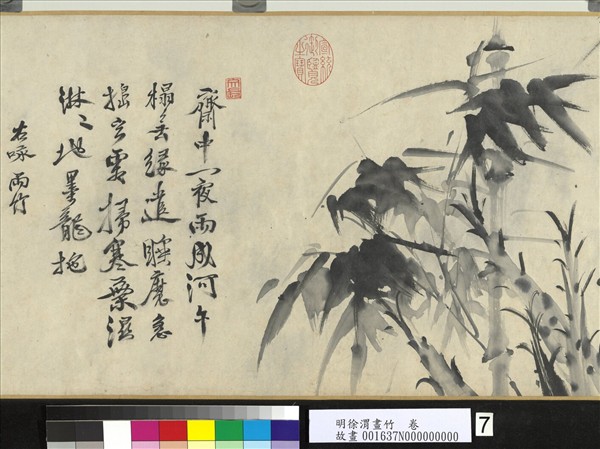 明徐渭畫竹　卷