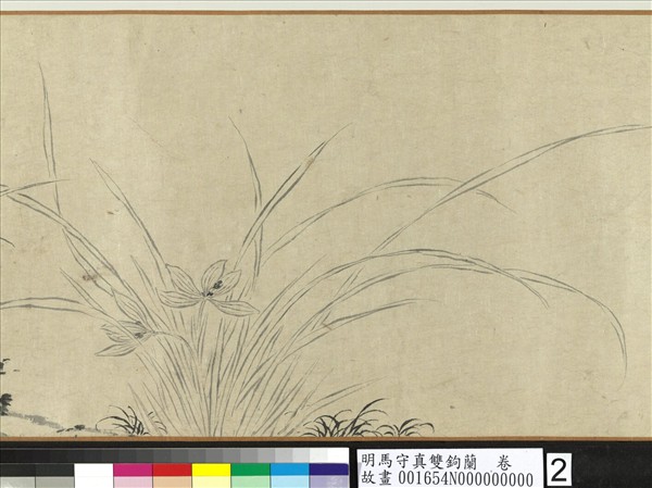 明馬守真雙鉤蘭  卷