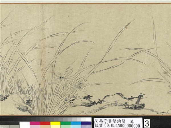 明馬守真雙鉤蘭  卷