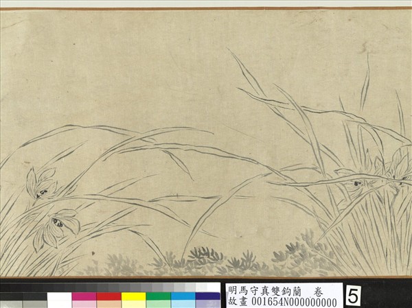 明馬守真雙鉤蘭  卷