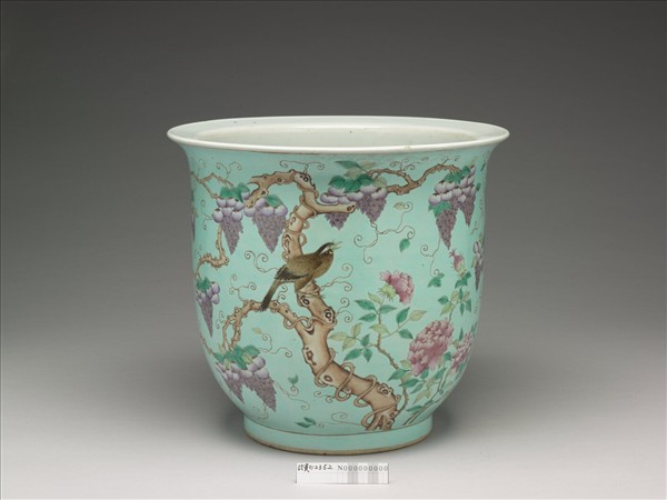 粉彩藤蘿月季花鳥紋盆