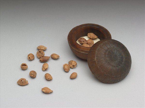 犀角雕菊花圓盒、果核雕十九枚