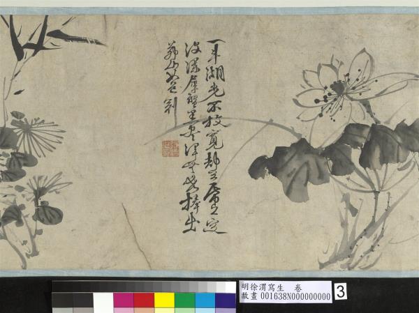 明徐渭寫生　卷